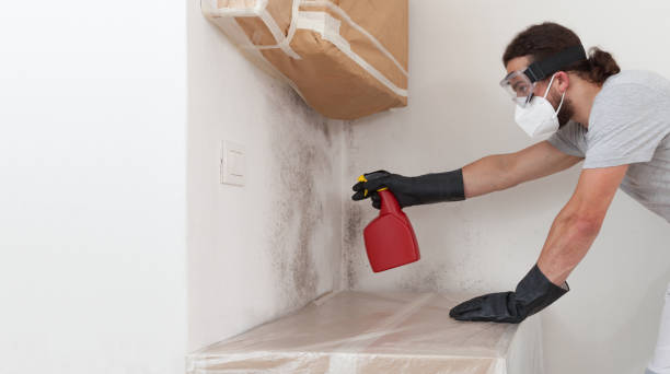 Professional Bathroom Mold Removal technician working in Williamston, NC