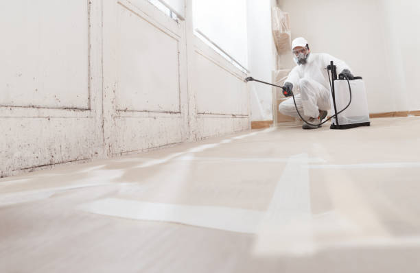 24/7 Emergency Bathroom Mold Removal experts in Williamston, NC